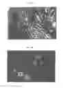 Fig. 02 - SEBOCYTES, SEBOCYTE CELL LINES AND APPLICATIONS THEREOF