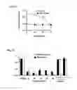 Fig. 03 - HETEROARYL BENZAMIDES, COMPOSITIONS AND METHODS OF USE