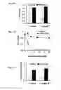 Fig. 04 - HETEROARYL BENZAMIDES, COMPOSITIONS AND METHODS OF USE