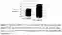 Fig. 22 - MOLECULARLY IMPRINTED POLYMERS, METHODS FOR THEIR PRODUCTION AND USES THEREOF