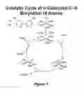 Fig. 02 - CATALYSTS AND BORONATE ESTERS