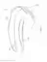 Fig. 02 - GUM MASSAGING DEVICE