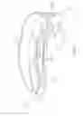 Fig. 04 - GUM MASSAGING DEVICE