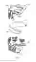 Fig. 06 - GUM MASSAGING DEVICE