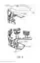 Fig. 07 - GUM MASSAGING DEVICE