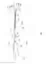 Fig. 09 - Method and apparatus for delivery of a ligating suture