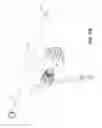 Fig. 09 - Catheter system and methods of using same