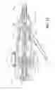 Fig. 17 - Catheter system and methods of using same