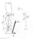 Fig. 06 - METHOD FOR CONTROLLING AN ORTHOTIC OR PROSTHETIC JOINT OF A LOWER EXTREMITY
