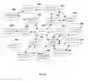 Fig. 07 - User validation in a social network