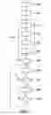Fig. 02 - RENDERING A WEB PAGE COMPRISING PLUG-IN CONTENT
