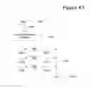 Fig. 41 - Navigation of information via visual representations including nodes and contexts