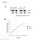 Fig. 04 - Plant having enhanced resistance to environmental stress