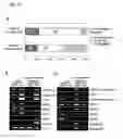 Fig. 18 - Plant having enhanced resistance to environmental stress