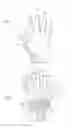 Fig. 02 - GLOVE HAVING INJECTION MOLDED COMPONENTS