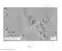 Fig. 06 - Refractory object, glass overflow forming block, and process for glass object manufacture