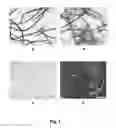 Fig. 02 - Material to be used as a concrete additive