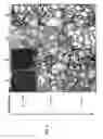 Fig. 06 - Material to be used as a concrete additive
