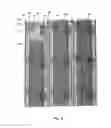 Fig. 08 - Method of manufacturing a light emitting device