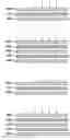 Fig. 01 - METHOD OF LAMINATION USING RADIO FREQUENCY HEATING AND PRESSURE
