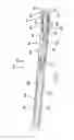 Fig. 02 - Drilling apparatus