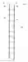 Fig. 07 - HIDDEN FIRE ESCAPE LADDER SYSTEM WITH SPRING-LOADED STANDOFFS