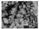 Fig. 01 - NITRIDE PHOSPHOR, REACTION MIXTURE AND METHOD PRODUCTION AND LIGHT EMITTING DEVICE COMPRISING SUCH A PHOSPHOR