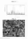 Fig. 07 - NITRIDE PHOSPHOR, REACTION MIXTURE AND METHOD PRODUCTION AND LIGHT EMITTING DEVICE COMPRISING SUCH A PHOSPHOR