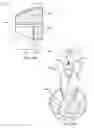 Fig. 37 - Rotor-stator structures including boost magnet structures for magnetic regions in rotor assemblies disposed external to boundaries of conically-shaped spaces