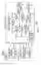 Fig. 06 - SEMICONDUCTOR INTEGRATED CIRCUIT, FAILURE DIAGNOSIS SYSTEM AND FAILURE DIAGNOSIS METHOD
