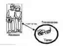 Fig. 01 - RFD Method for Protecting Personal Assets