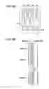 Fig. 07 - Recording apparatus