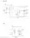 Fig. 07 - Digital image filtration methods