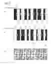 Fig. 35 - LIQUID CRYSTAL DISPLAY DEVICE AND MANUFACTURING METHOD THEREFOR