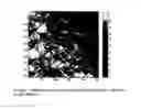 Fig. 09 - Laser scanning microscope and method for operation thereof