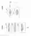 Fig. 09 - IMAGE FORMING APPARATUS