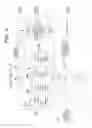 Fig. 06 - Method of reading document image data