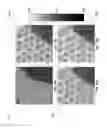 Fig. 11 - Plasmonic dark field and fluorescence microscopy