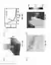 Fig. 24 - Plasmonic dark field and fluorescence microscopy