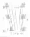Fig. 02 - Method of setting trim codes for a flash memory and related device