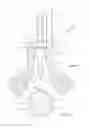 Fig. 02 - Low-turbulent aerator and aeration method