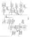 Fig. 09 - Media codec devices providing universality for encoded signal origination and decided signal distribution