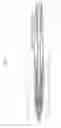 Fig. 02 - Mechanical pencil