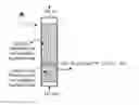 Fig. 01 - Method for recovering COby means of CaO and the exothermic reduction of a solid