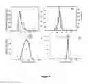 Fig. 02 - Isolation and characterisation of heparan sulphates and their use in pharmaceutical compositions, methods of treatment and stem cell culture media suitable for conditions associated with bone repair