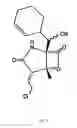Fig. 02 - Salinosporamides and methods for use thereof