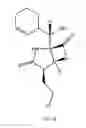 Fig. 17 - Salinosporamides and methods for use thereof