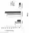 Fig. 08 - NOGO receptor binding protein