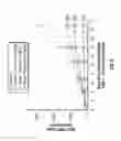Fig. 09 - Methods of treating cancer using 3-(5-amino-2-methyl-4-oxo-4Hquinazolin-3-yl)-piperidine-2,6-dione