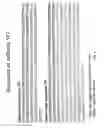Fig. 06 - Anti-factor B antibodies and their uses